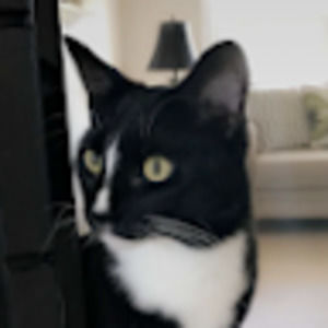 Meet your Posher, Hannah